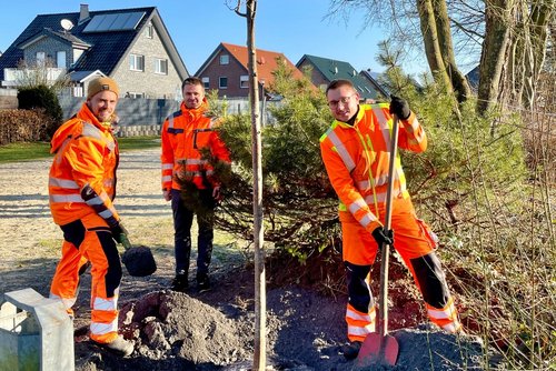 Drei Mitarbeiter des städtischen Bauhofs stehen in orangefarbener Kleidung und mit Spaten in der Hand um einen frisch gepflanzten Baum.